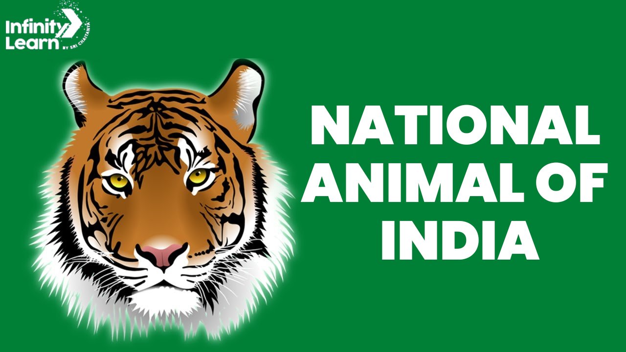 national animal of india