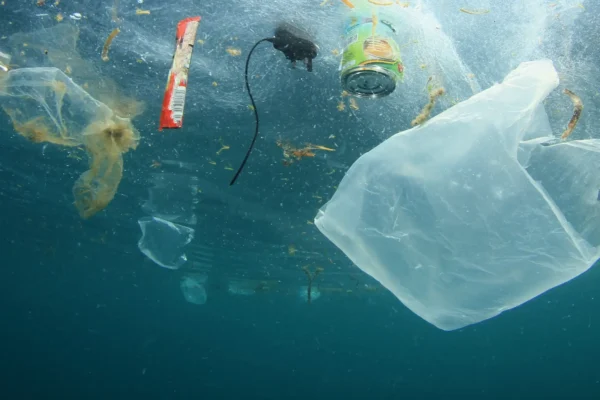water pollution