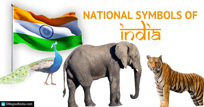 The National Animal of India: A Symbol of Strength